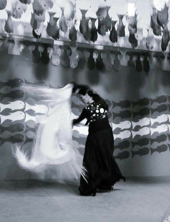 7bc3f297 dab9 4984 b475 cd5ca2005ecc